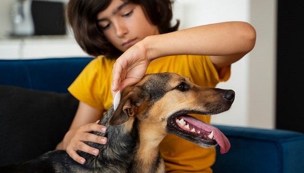 Les chiens peuvent être utiles aux familles d'enfants autistes: photo d'un jeune garçon en tee-shirt jaune tenant un chien.